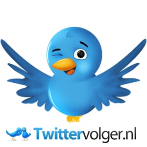 Review Twittervolger / tool voor meer volgers op Twitter